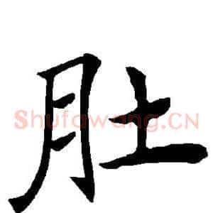 肚