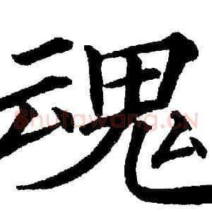 魂