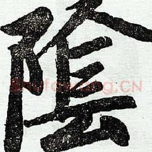 阴