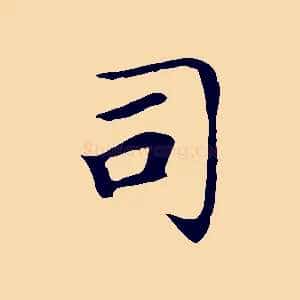 司