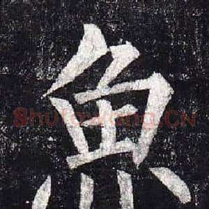 魚