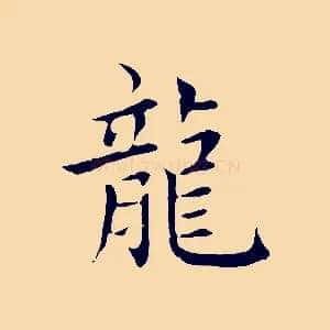 龍