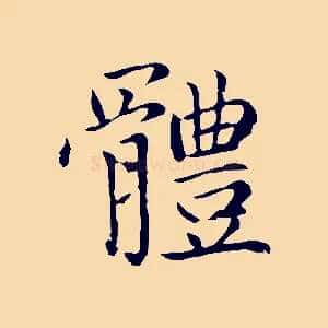 體