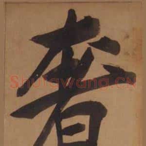 奢