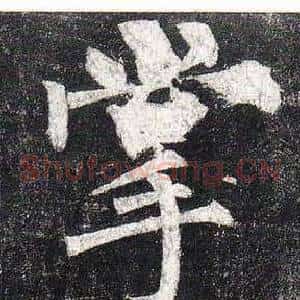 掌