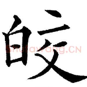 皎