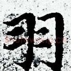 羽