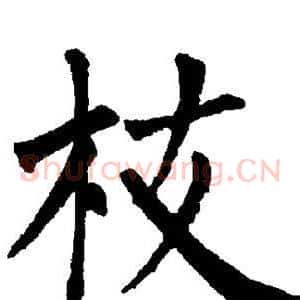 枝