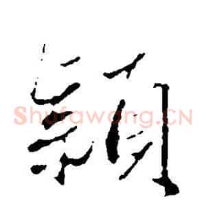 颖