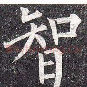 智