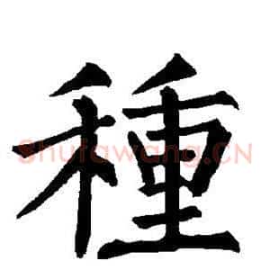 种