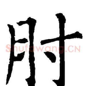 肘