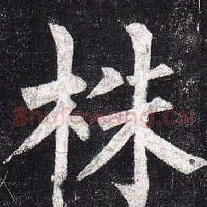 株
