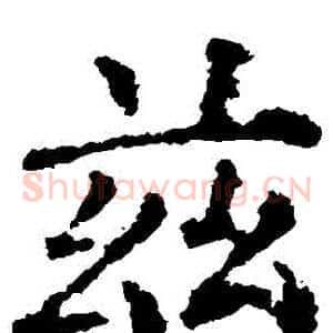 茲