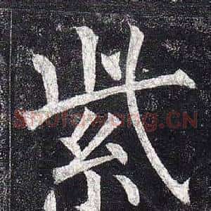紫