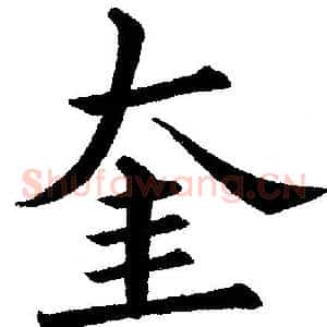 奎