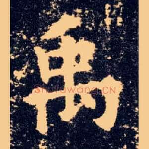 禹