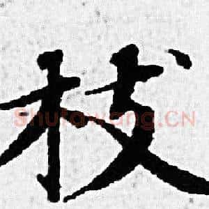 枝