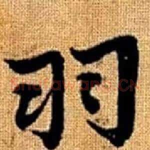 羽