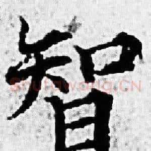 智