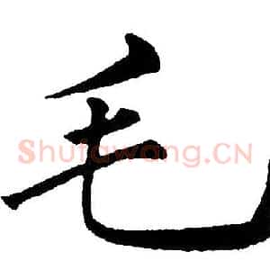 毛