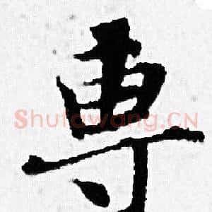 專