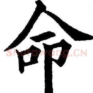 命