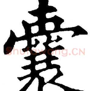 囊