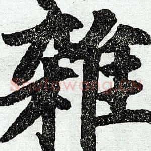 杂