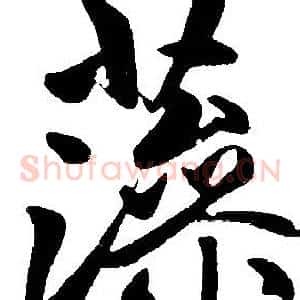 藻