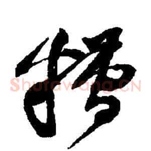 糟