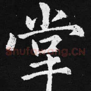 掌
