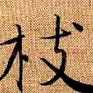 枝