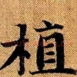 植