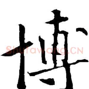 博