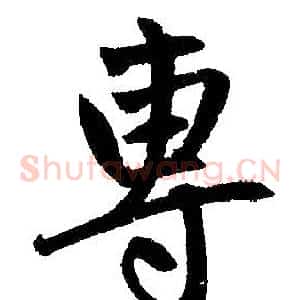 專