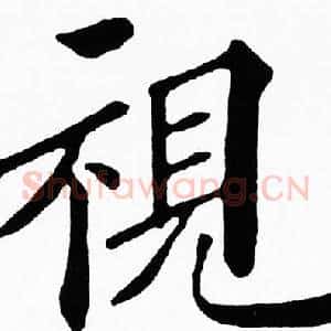 視