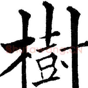 樹