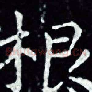 根