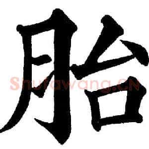 胎