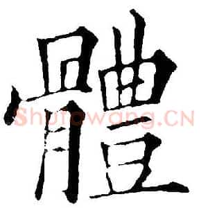 体