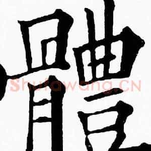 體