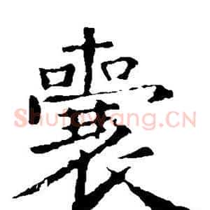 囊