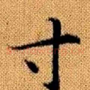 寸