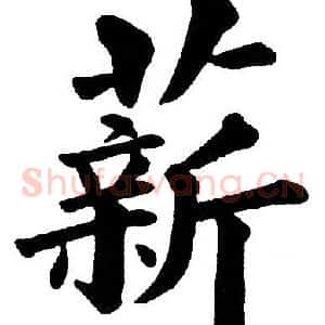 薪
