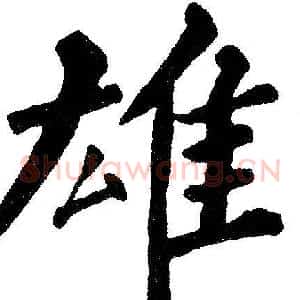 雄