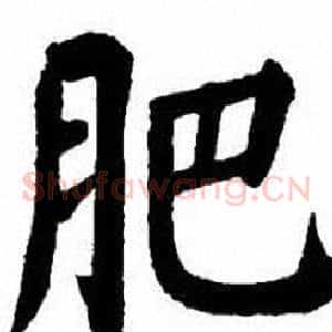 肥