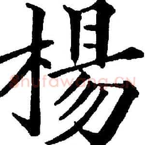 楊