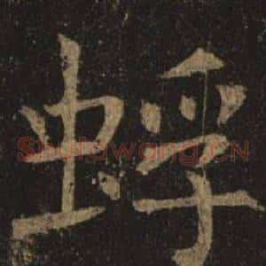 蜉