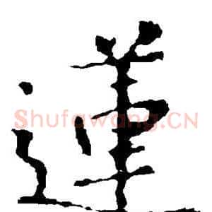 莲